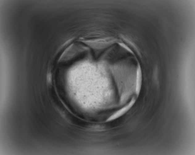 X0000085210067200703301651