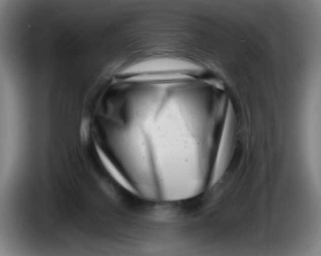 X0000085210070200703301651