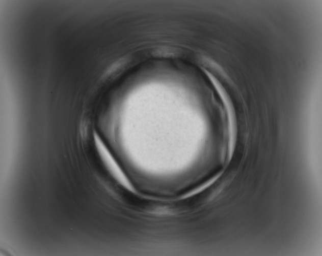 X0000085210071200703301651