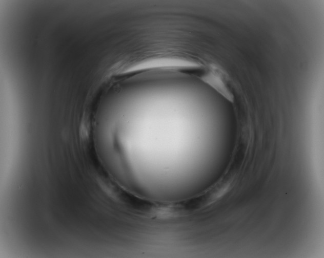 X0000085210072200703301651