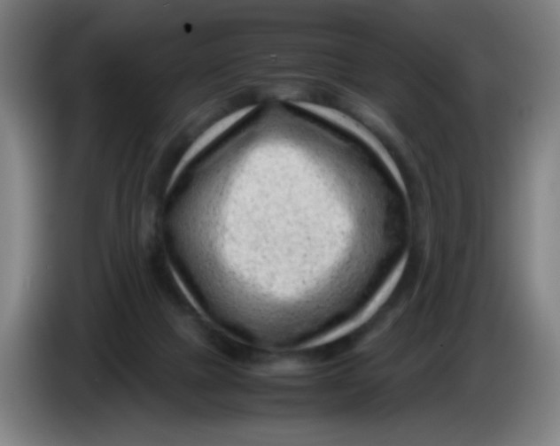 X0000085210073200703301651