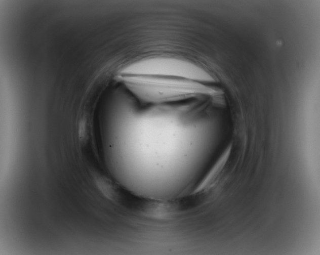 X0000085210074200703301651