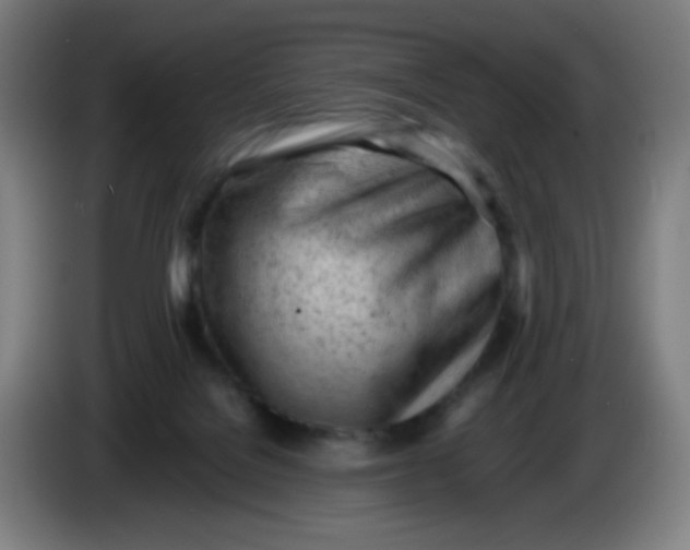 X0000085210076200703301651