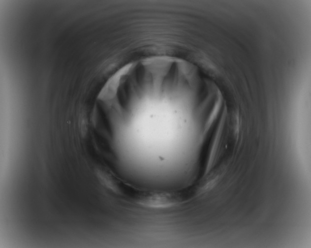 X0000085210080200703301651