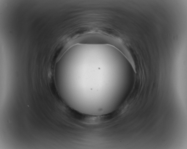 X0000085210084200703301651