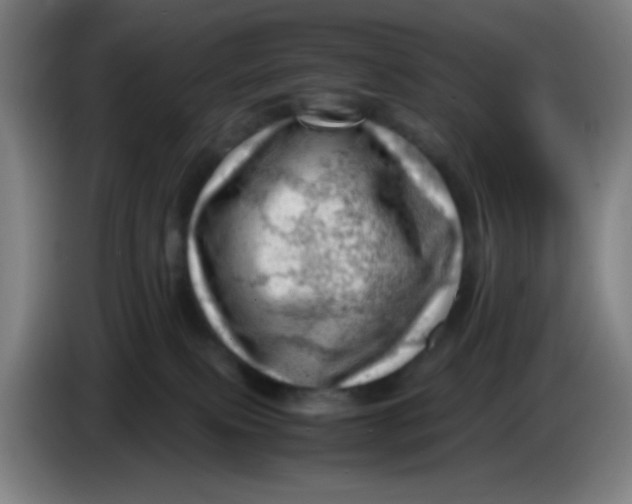 X0000085210087200703301651