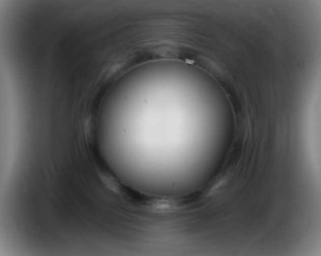 X0000085210088200703301651