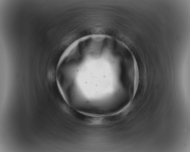 X0000085210090200703301651