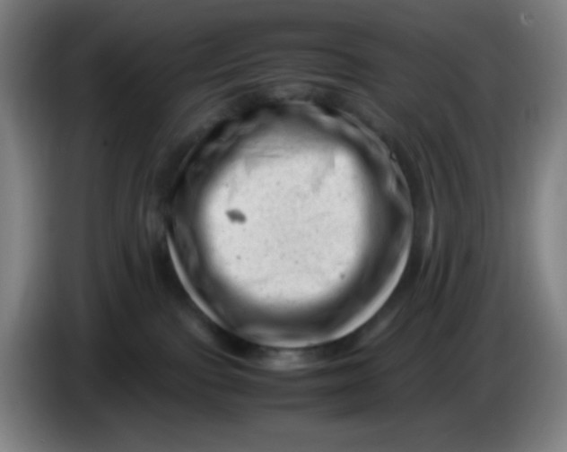 X0000085210091200703301651