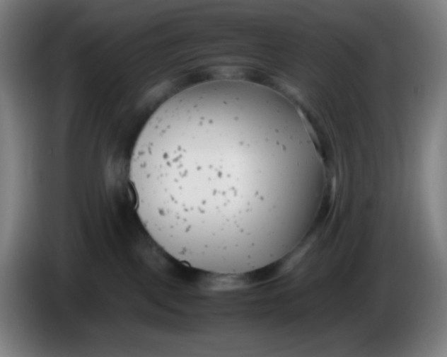 X0000085210093200703301651