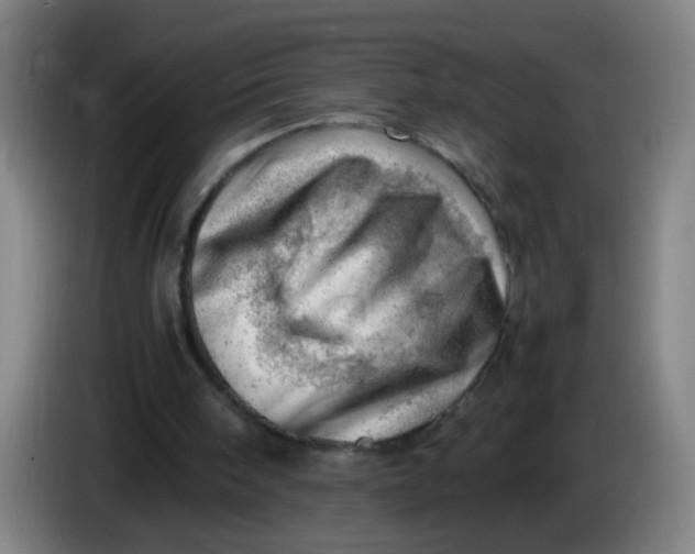 X0000085210098200703301650