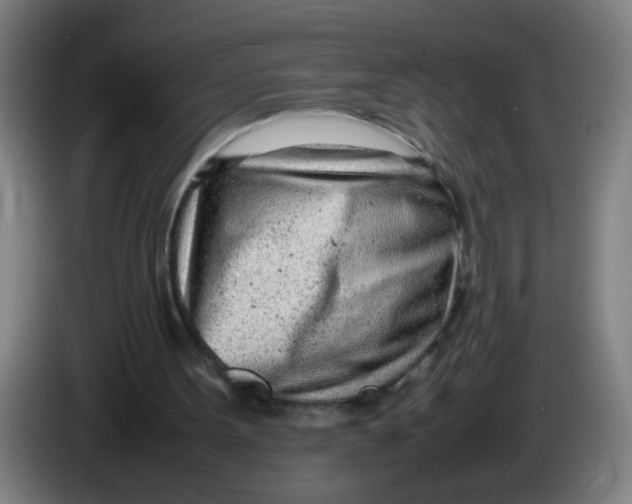 X0000085210099200703301650