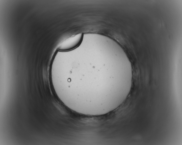 X0000085210100200703301650