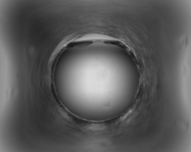 X0000085210101200703301650