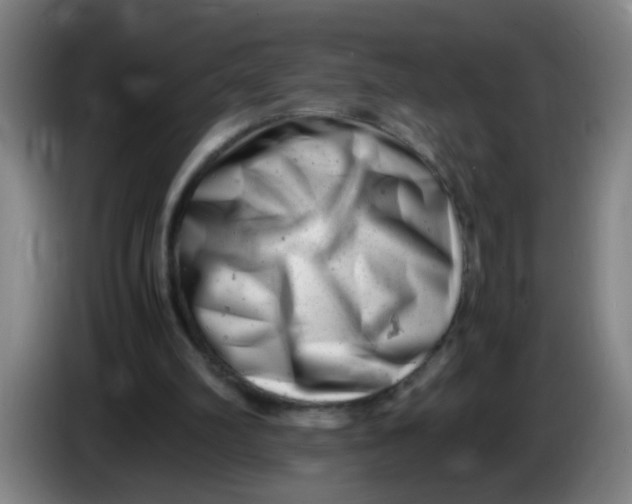 X0000085210102200703301650