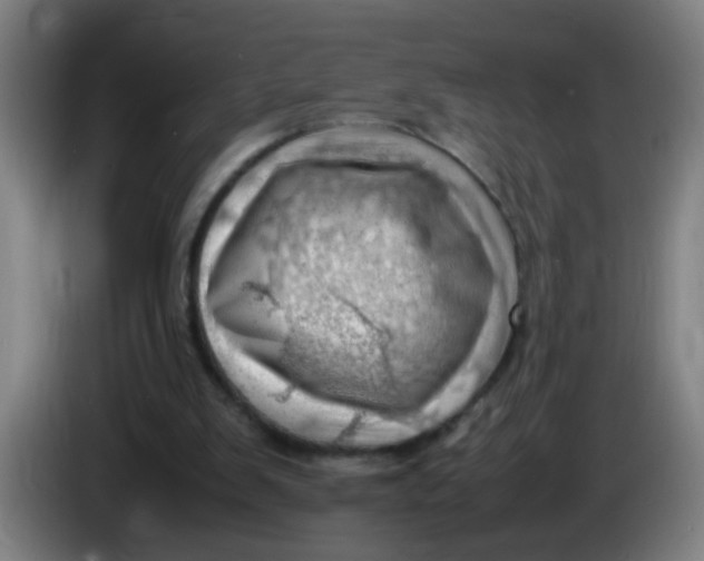 X0000085210103200703301650