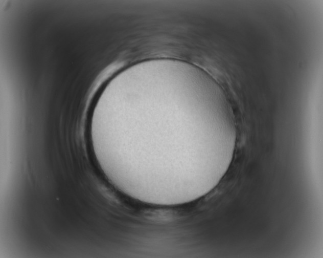 X0000085210104200703301650