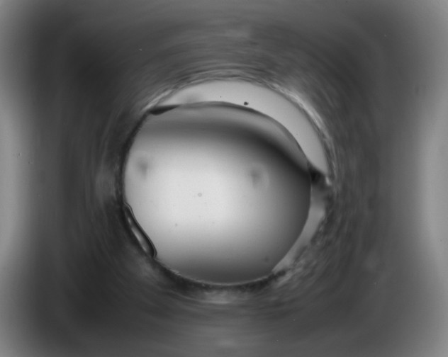 X0000085210105200703301650