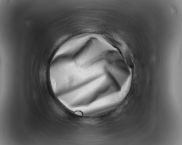 X0000085210106200703301650