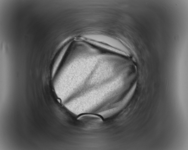 X0000085210107200703301650