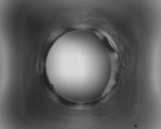 X0000085210109200703301650