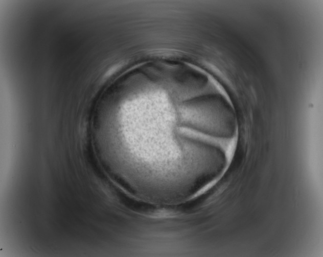 X0000085210111200703301650