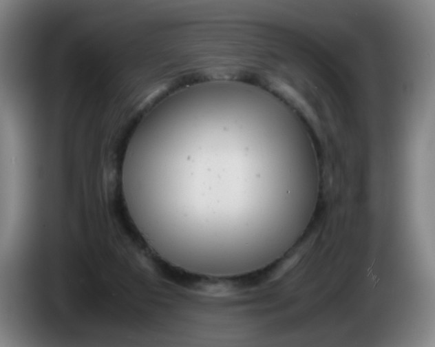 X0000085210113200703301650