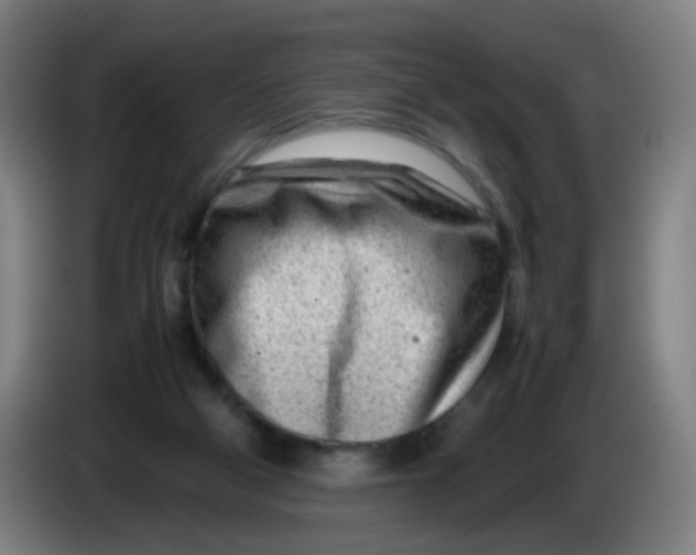 X0000085210114200703301650