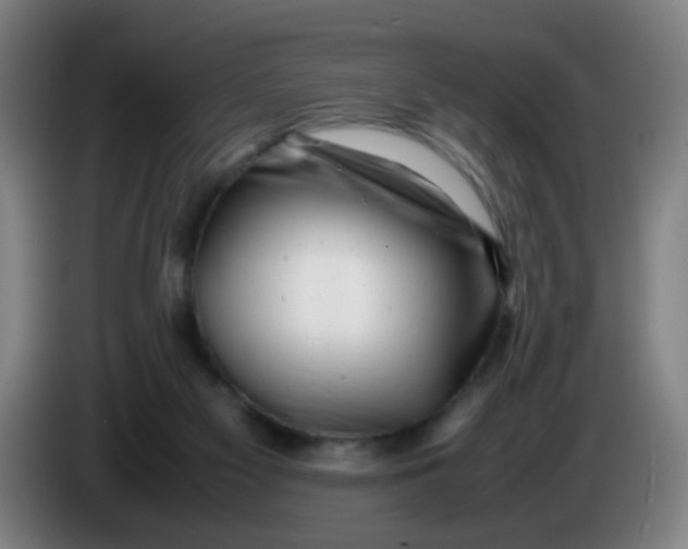 X0000085210117200703301650