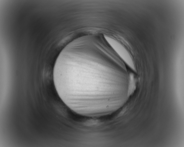 X0000085210119200703301650