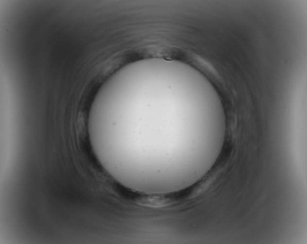 X0000085210121200703301650