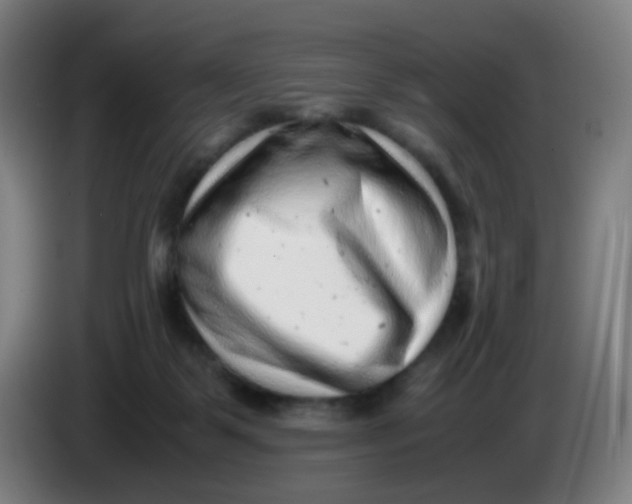 X0000085210123200703301650