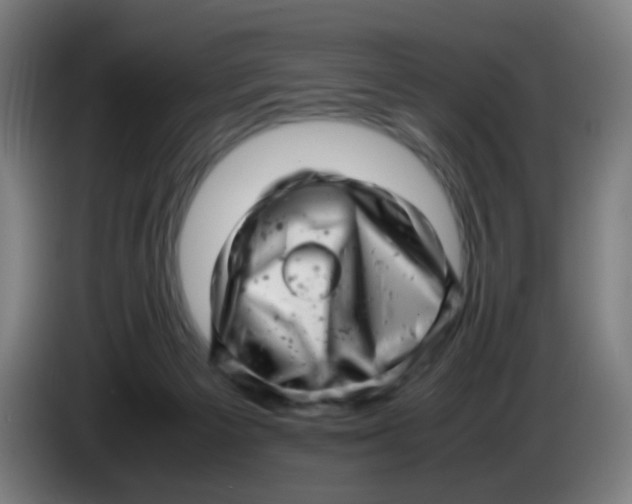 X0000085210125200703301650