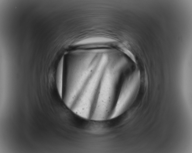 X0000085210127200703301650