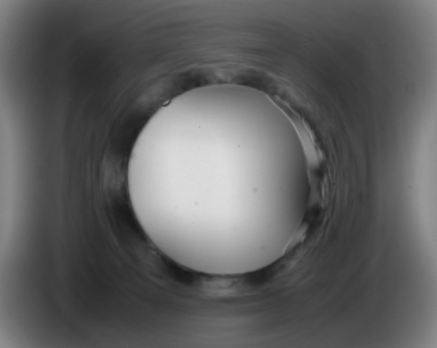 X0000085210129200703301650