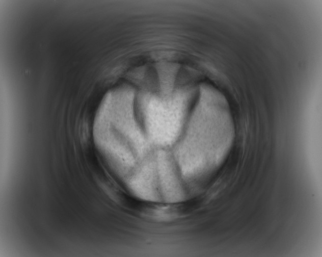 X0000085210130200703301650