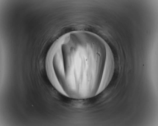 X0000085210131200703301650