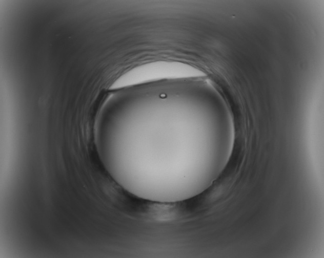 X0000085210139200703301650