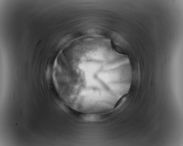 X0000085210142200703301650