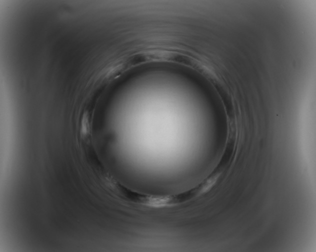 X0000085210143200703301650