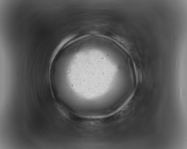 X0000085210147200703301649