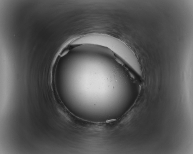 X0000085210148200703301649