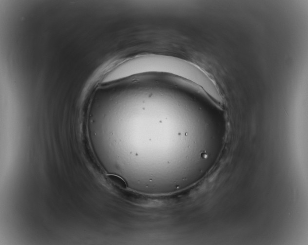 X0000085210149200703301649