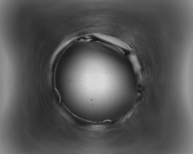 X0000085210150200703301649