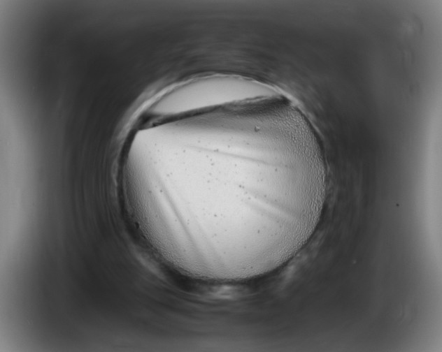 X0000085210151200703301649