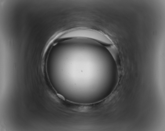 X0000085210152200703301649