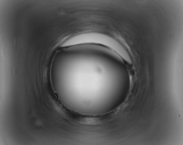 X0000085210154200703301649