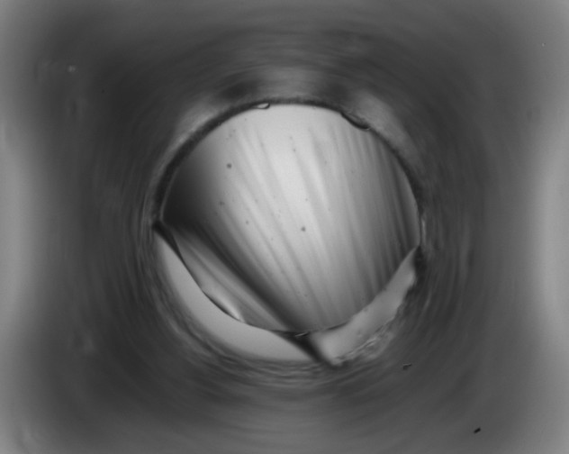 X0000085210156200703301649