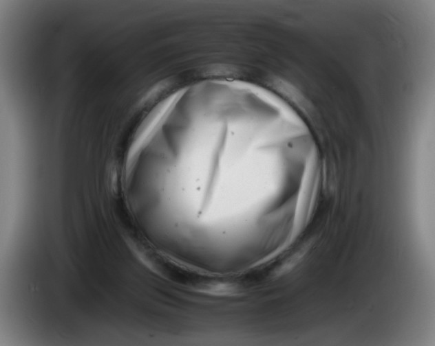 X0000085210157200703301649