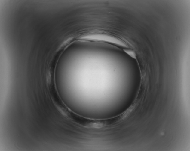 X0000085210158200703301649